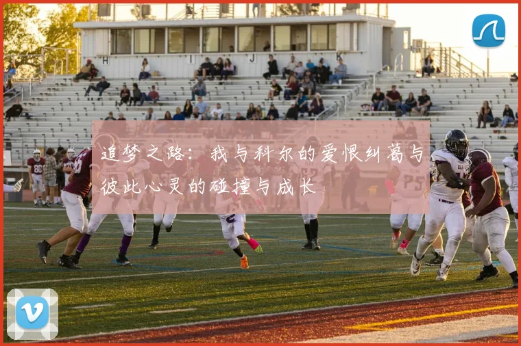 追梦之路：我与科尔的爱恨纠葛与彼此心灵的碰撞与成长